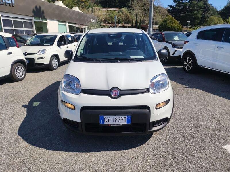 FIAT Panda New Serie 7 1.0 70cv HybridPanda