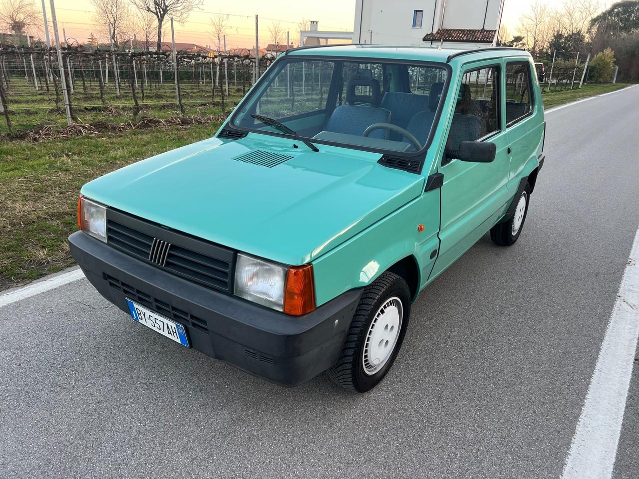 Fiat Panda 1100 i.e. cat Young