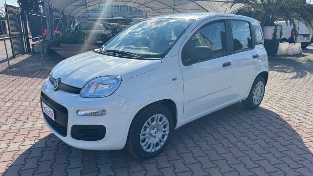 FIAT Pandina 1.0 FireFly Hybrid 65cv POP KMO