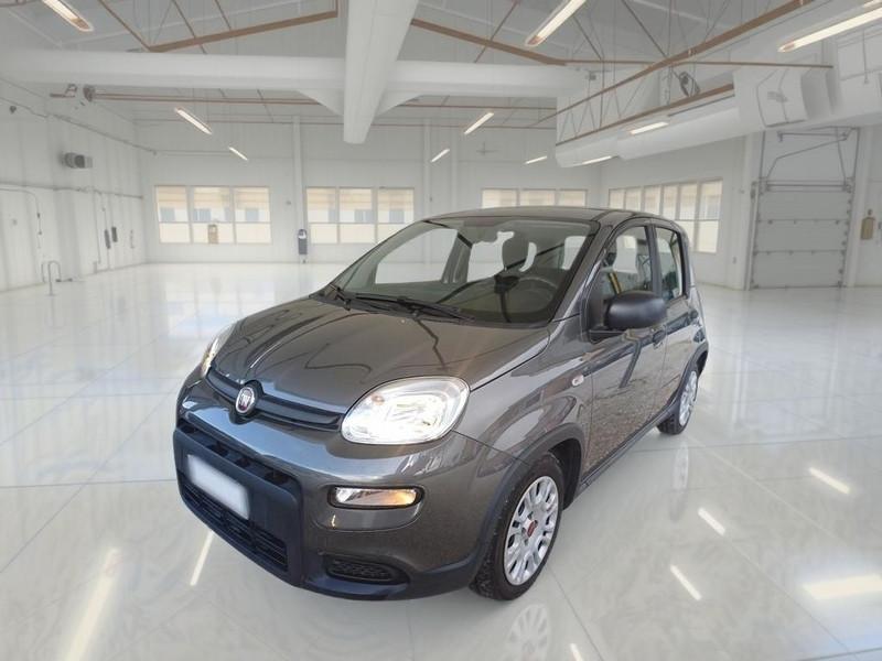 FIAT PANDA 1.0 FIREFLY 70 CV SES HYBRID 5 PORTE BERLINA