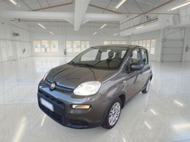 FIAT PANDA 1.0 FIREFLY 70 CV SES HYBRID 5 PORTE BERLINA