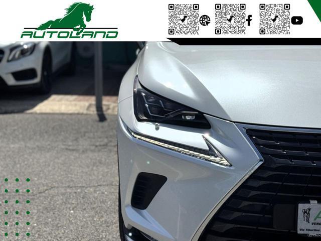 LEXUS NX 300 Hybrid 4WD Executive 155 CV