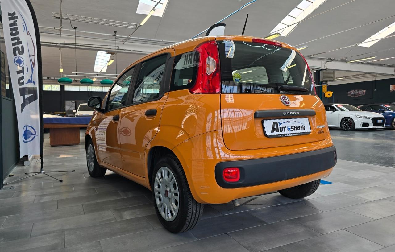 FIAT NEW PANDA CITY LIFE HYBRID 70CV 2020 XNEOPATENTATI