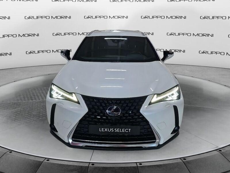 Lexus UX Hybrid Luxury