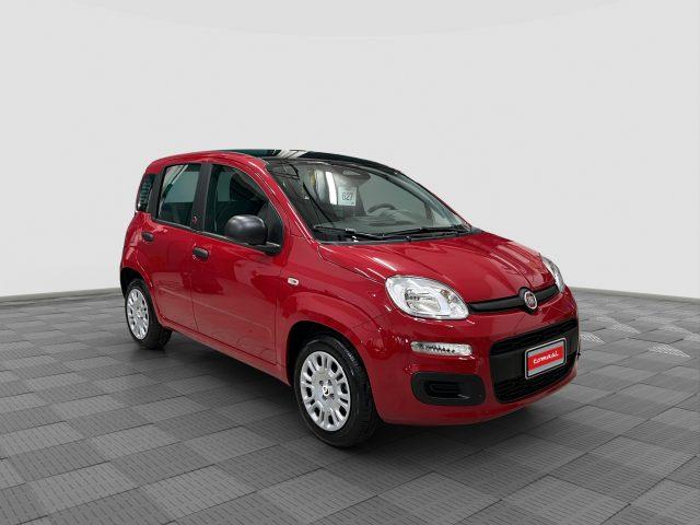 FIAT Panda Pandina 1.0 FireFly 65 CV Hybrid Icon
