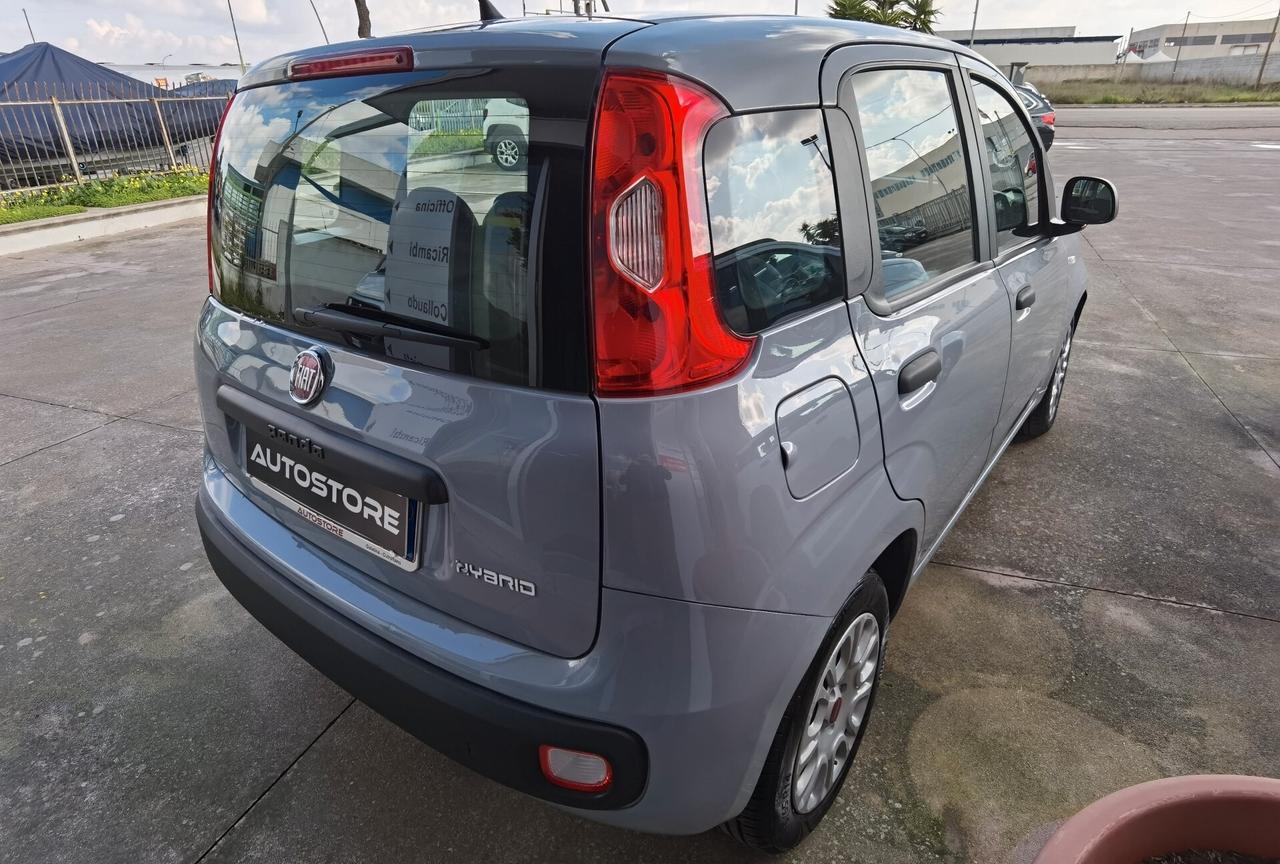 Fiat Panda 1.0 FireFly HY