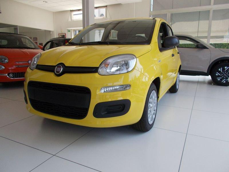 FIAT Pandina Pandina 1.0 FireFly 65 CV Hybrid Pop 338.7575187 MASSARI MARCO
