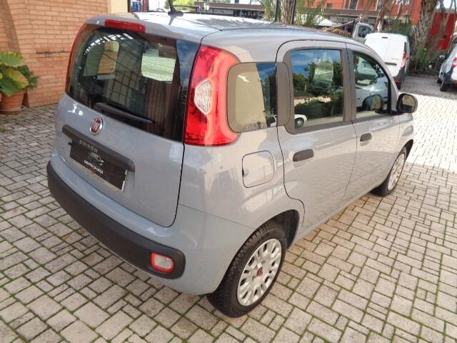 Fiat Panda 1.2 Easy € 6