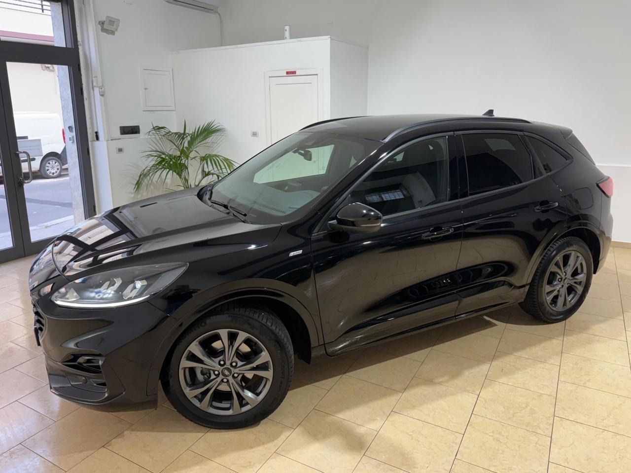 Ford Kuga 1.5 EcoBlue 120 CV 2WD ST-Line N1