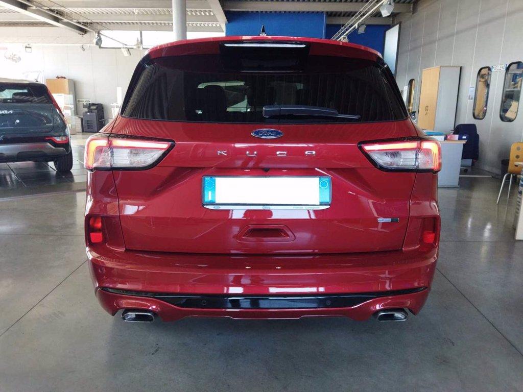 FORD Kuga 2.0 EcoBlue Hybrid 150 CV 2WD ST-Line X del 2020