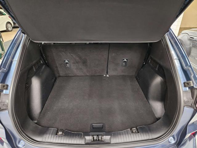 Ford Kuga Kuga III 2020 1.5 ecoblue ST-Line X 2wd 120cv auto