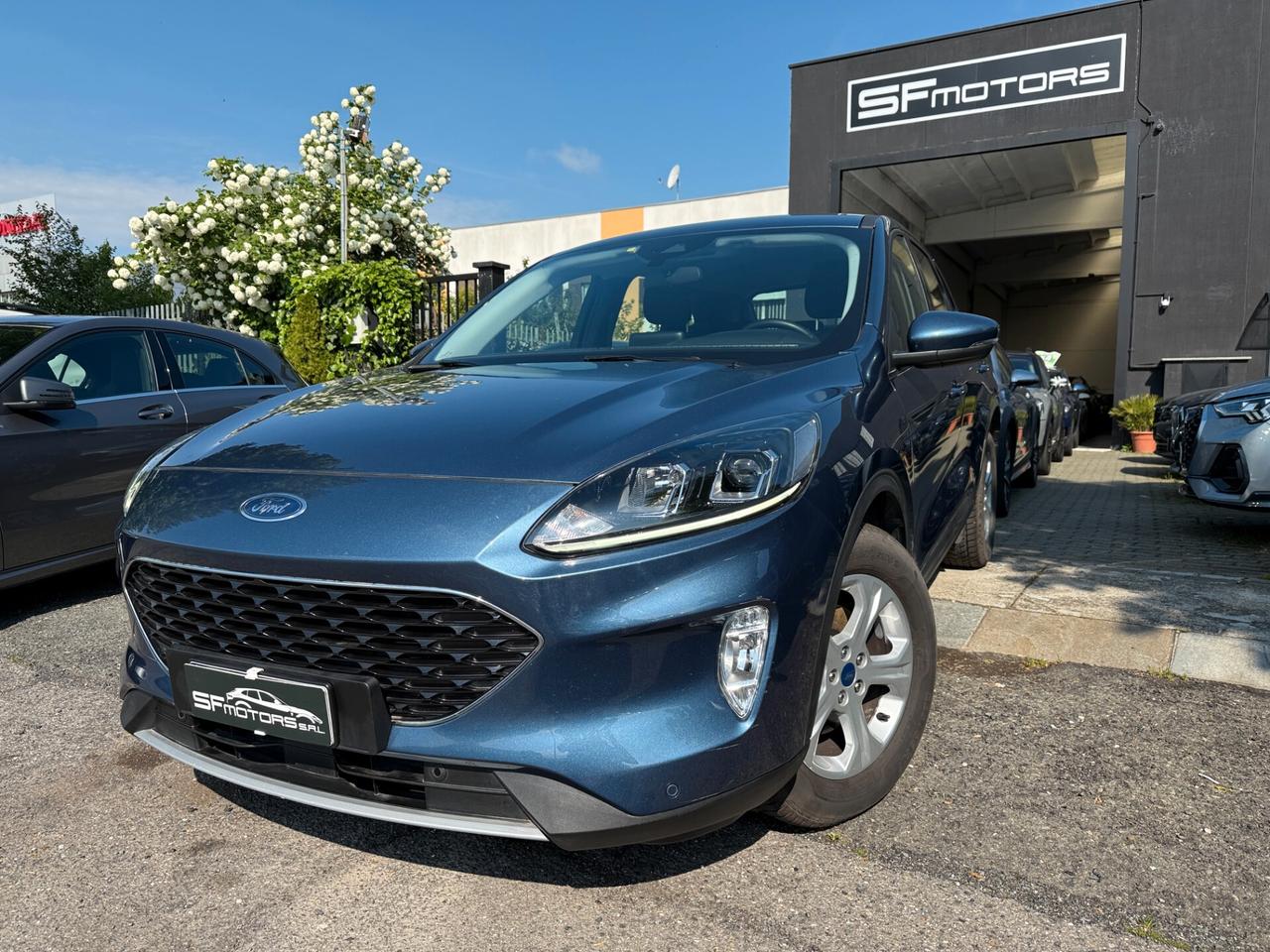 Ford Kuga 1.5 EcoBlue 120 CV aut. 2WD Titanium Business