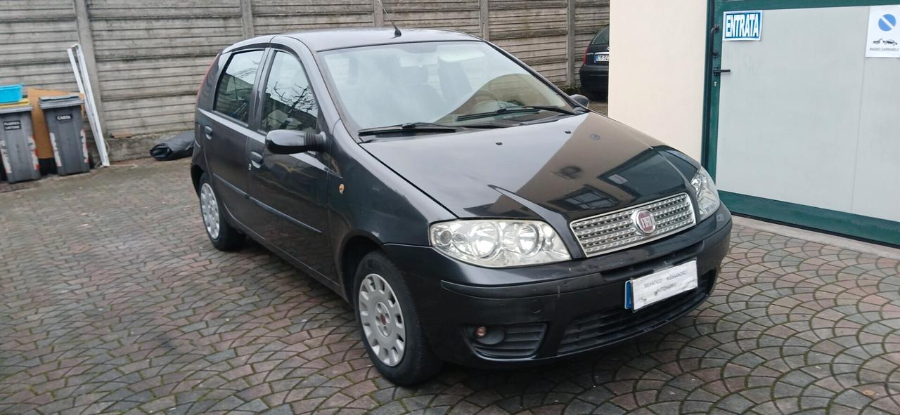 Fiat Punto 1.2 5 porte neopatentati