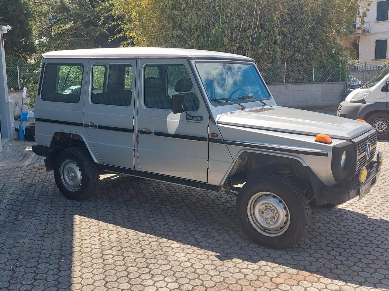 Mercedes-benz G 250 GD lungo Station Wagon
