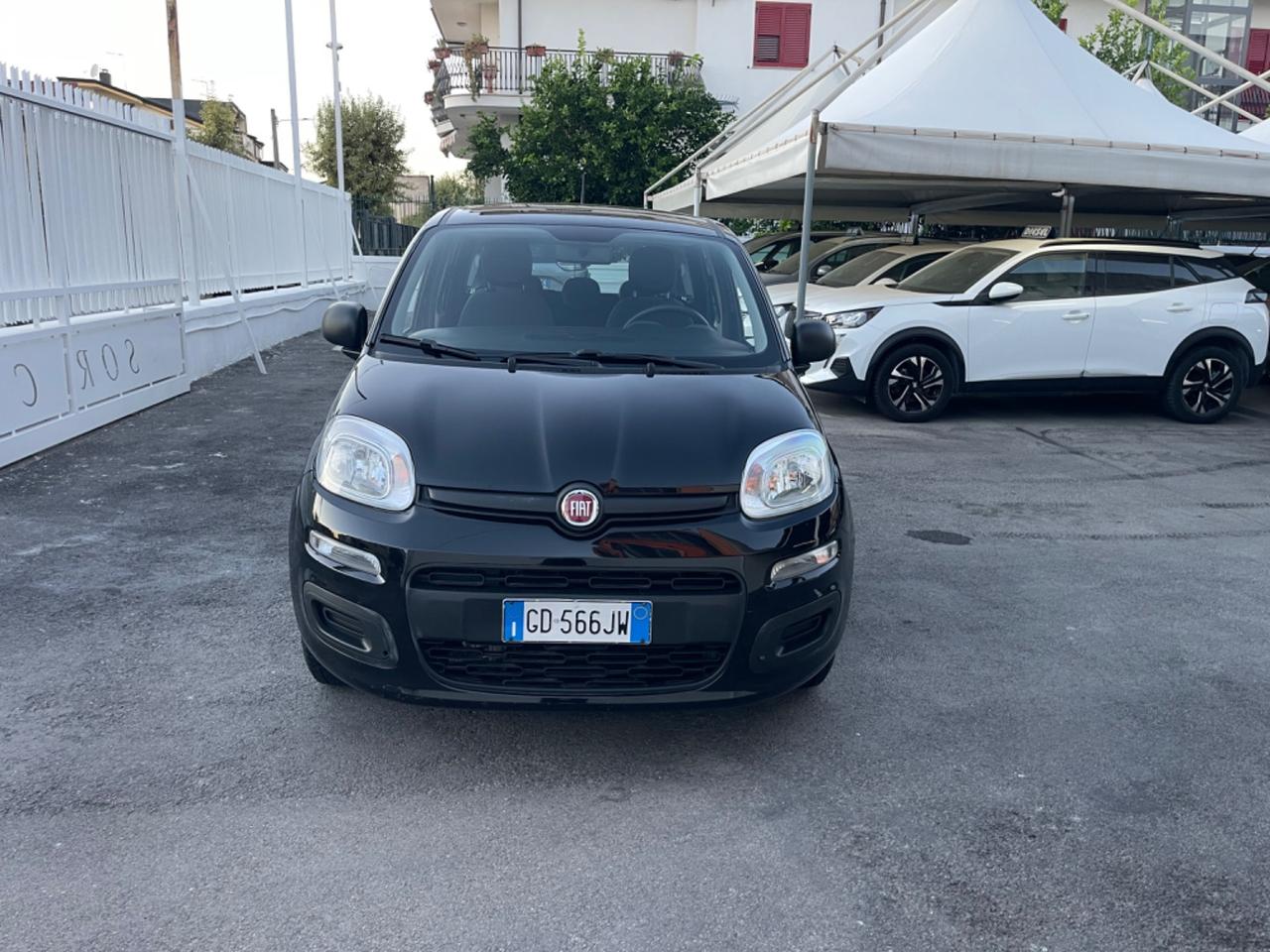 Fiat Panda 1.2 Easy 11/2020 KM 52.300 CERTIFICATI IN FATTURA!!!