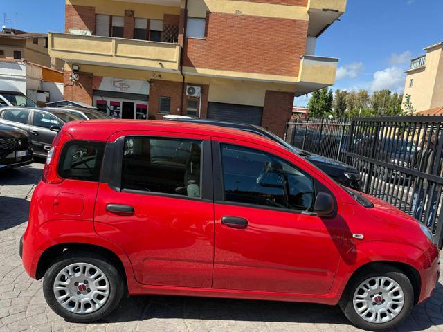 FIAT Panda 1.0 FireFly S&S Hybrid Eas 5 posti no obbligo fina