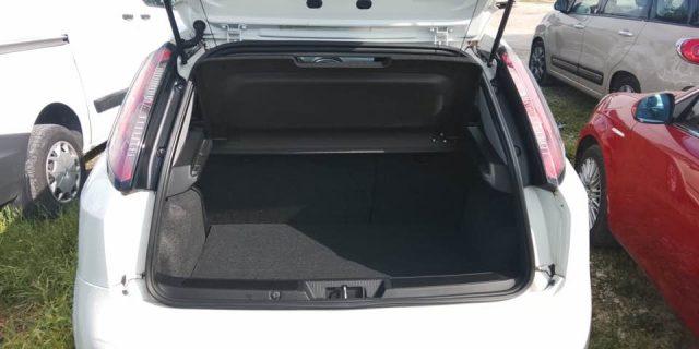 FIAT Punto 1.4 8V 5 porte Natural Power Lounge