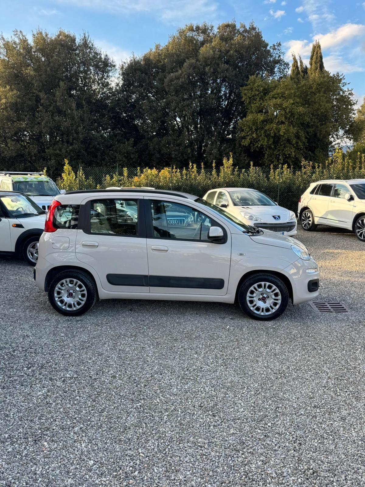Fiat Panda 1.2 Lounge CINGHIA DISTR. CAMBIATA