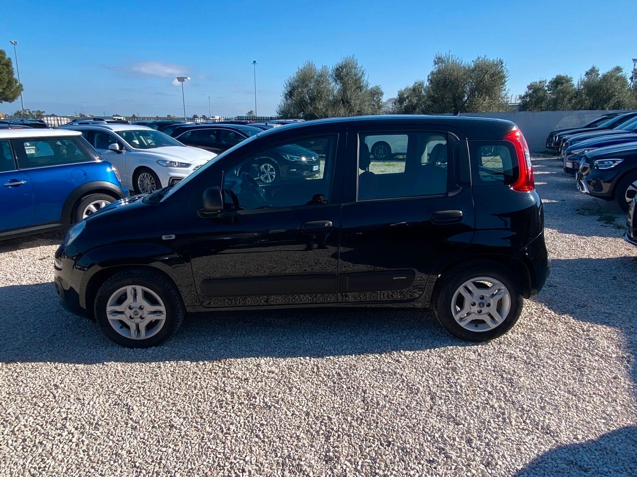 Fiat Panda 1.2 Lounge NEOPATENTATI UNICO PROPIETARIO BENZINA MANUALE
