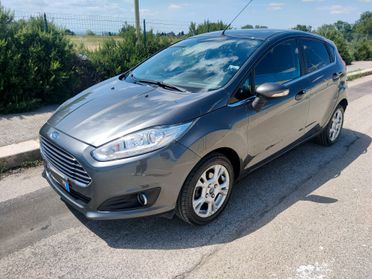 Ford Fiesta 1.4 5 porte Bz.- GPL Black & White Edition