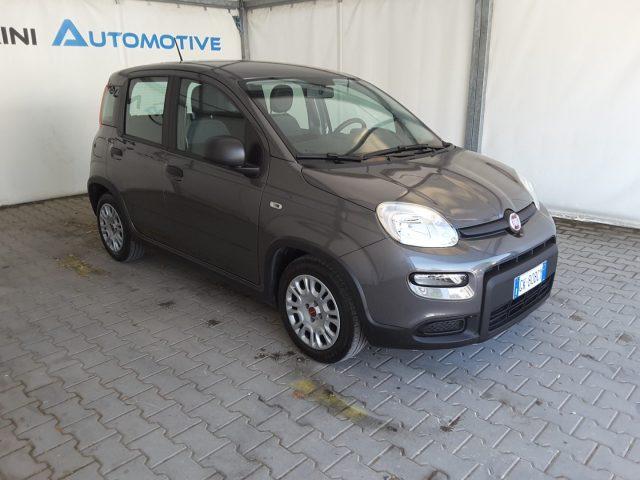 FIAT Panda 1.0 FireFly 70cv Hybrid *solo 19.700 Km*