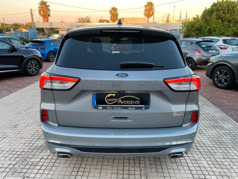 Ford Kuga 1.5 EcoBlue 120 CV 2WD ST-Line
