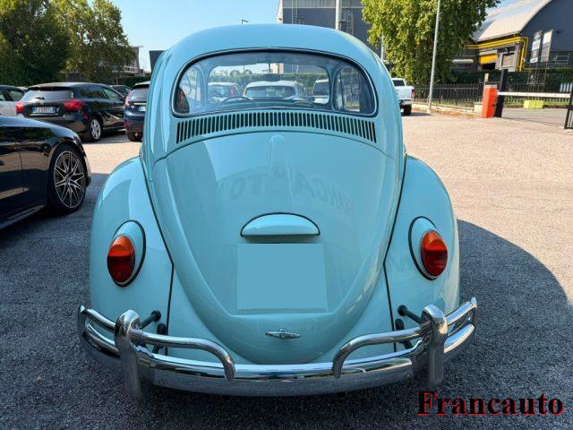 VOLKSWAGEN Maggiolino maggiolino