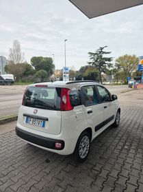 Fiat Panda Neo patentati 1.2 benzina