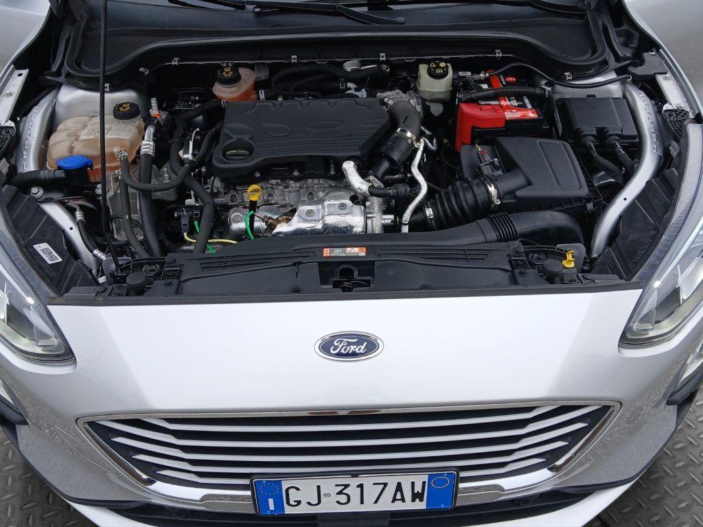 Ford Focus 1.5 EcoBlue 120 CV SW Business