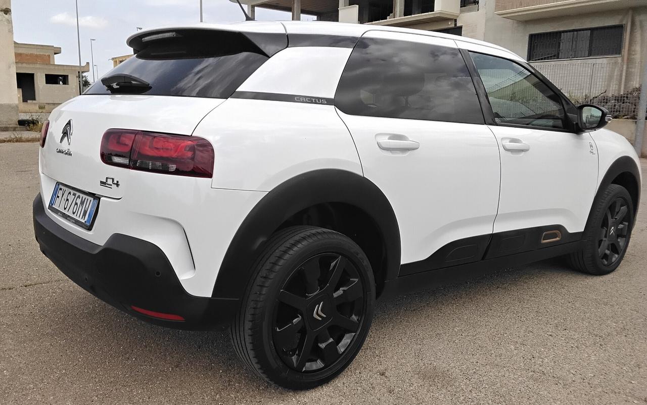 Citroen C4 Cactus BlueHDi 100 S&S Shine