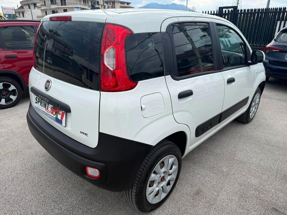 Fiat Panda 0.9 TwinAir Turbo S&S 4x4 Pop Van 2 posti