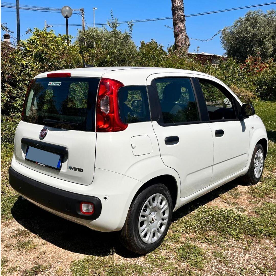 Fiat Panda 1.0 FireFly S&S Hybrid- KM ZERO
