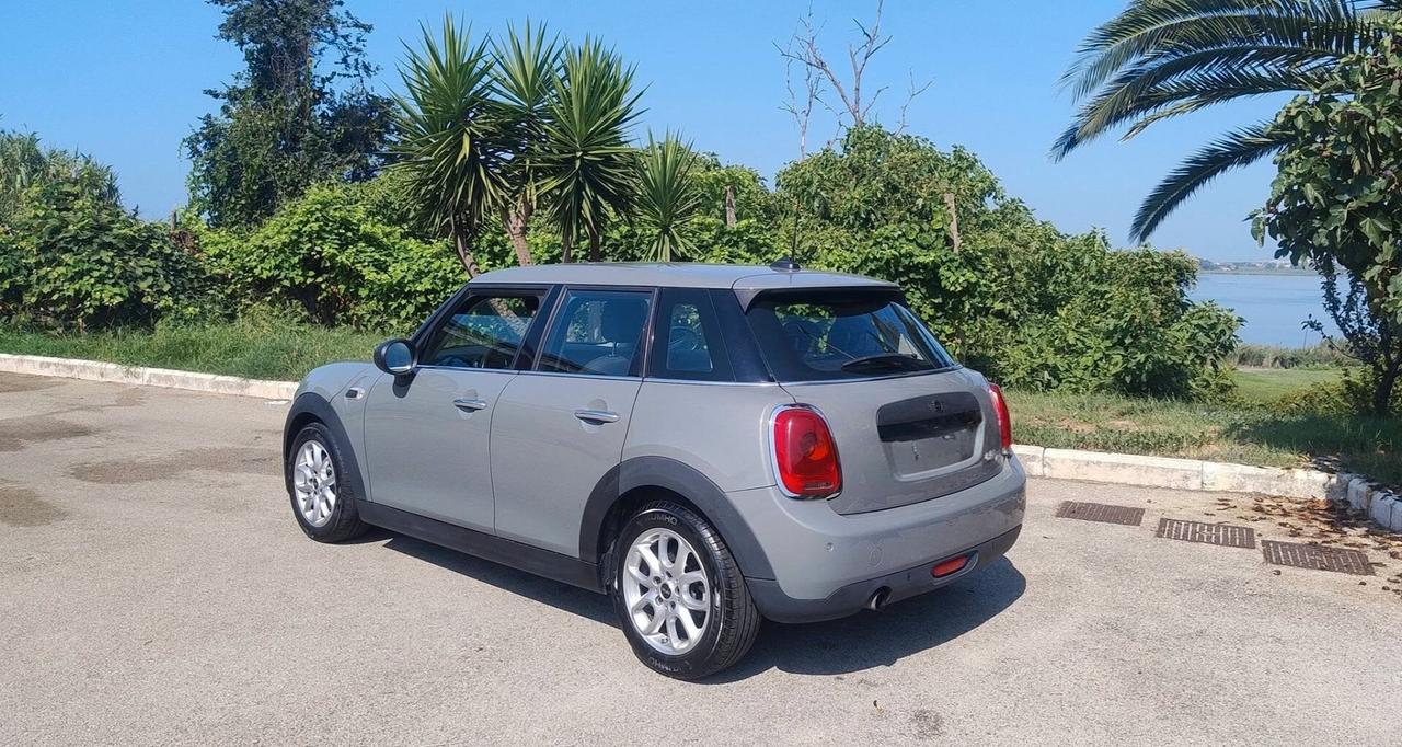 Mini 1.5 One D