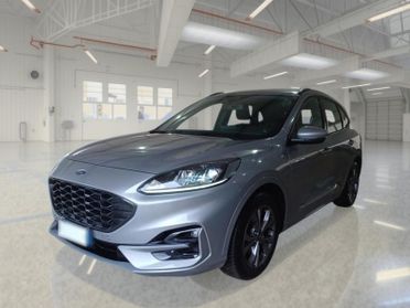 FORD KUGA 1.5 ECOBLUE 120 CV 2WD ST-LINE AUTO SUV