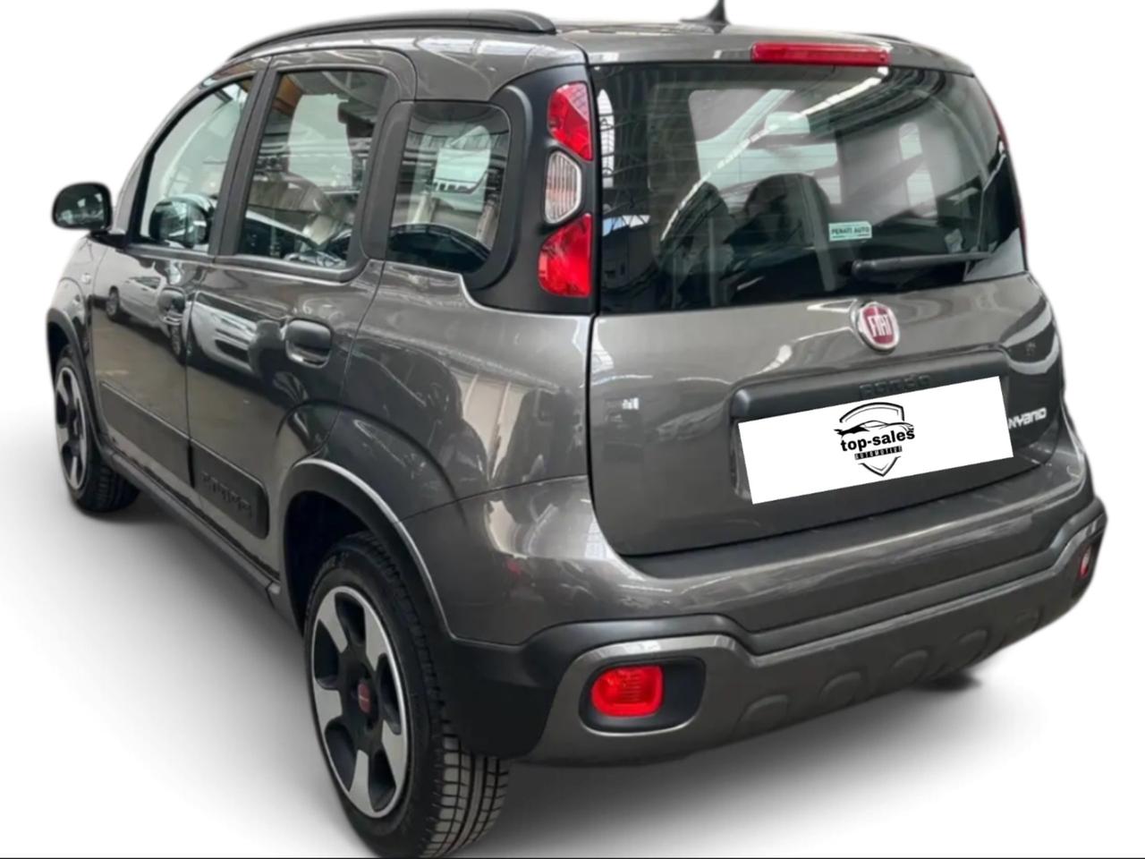 Fiat Panda Cross 1.0 FireFly S&S Hybrid Si Neopatentati
