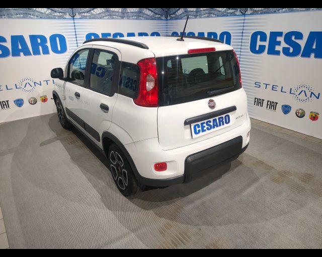 FIAT New Panda 1.0 Hybrid 70cv City Life 5 posti