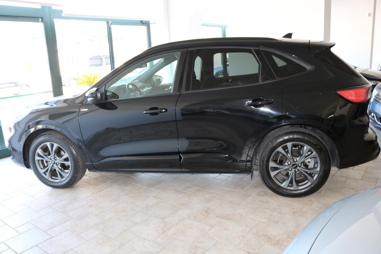 Ford Kuga 2.0 EcoBlue 120 CV aut. 2WD ST-Line Business