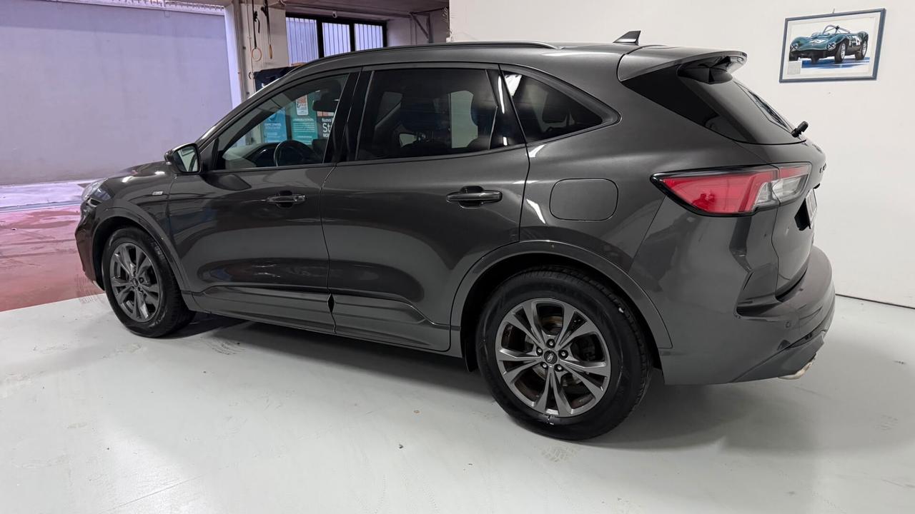 Ford Kuga 1.5 EcoBlue 120 CV 2WD ST-Line x