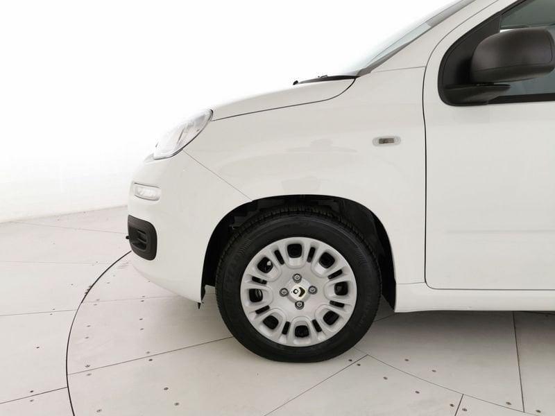 FIAT Pandina III 2024 Panda 1.0 firefly hybrid s&s 70cv 5p.ti