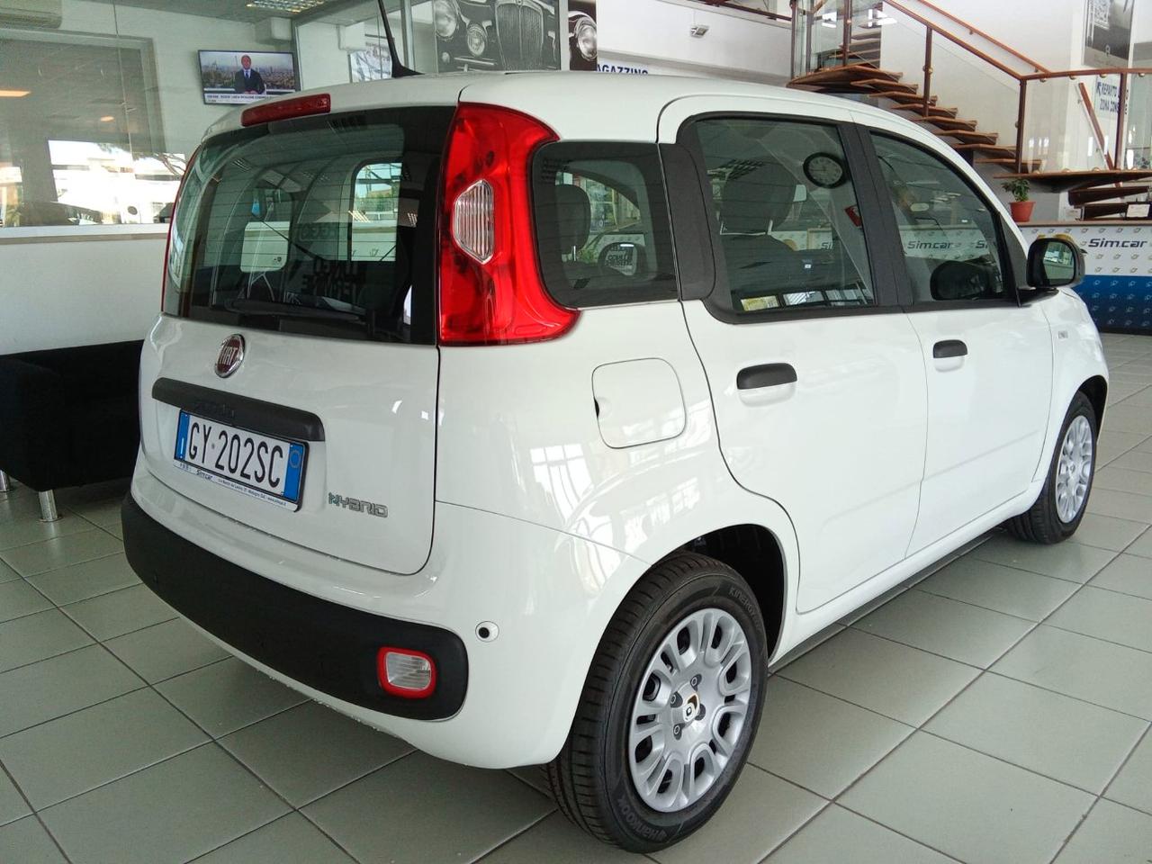 Fiat Panda vari anni 2016/25 VARI MODELLI LEGGI NOTE