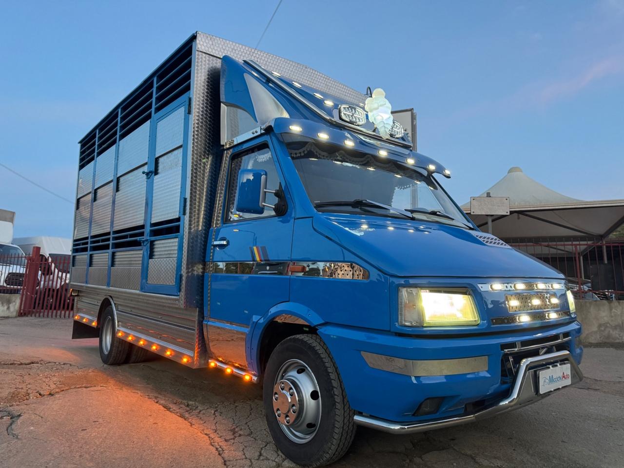 IVECO DAILY 35.10 TRASPORTI ANIMALI VIVI