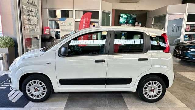 Fiat Panda 1.2 Benzina 69CV S&S Easy +Neopatentato