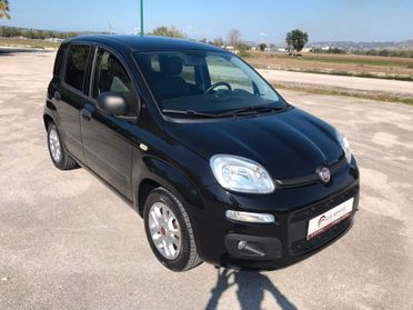 Fiat Panda 1.2 benzina 69 cv Lounge