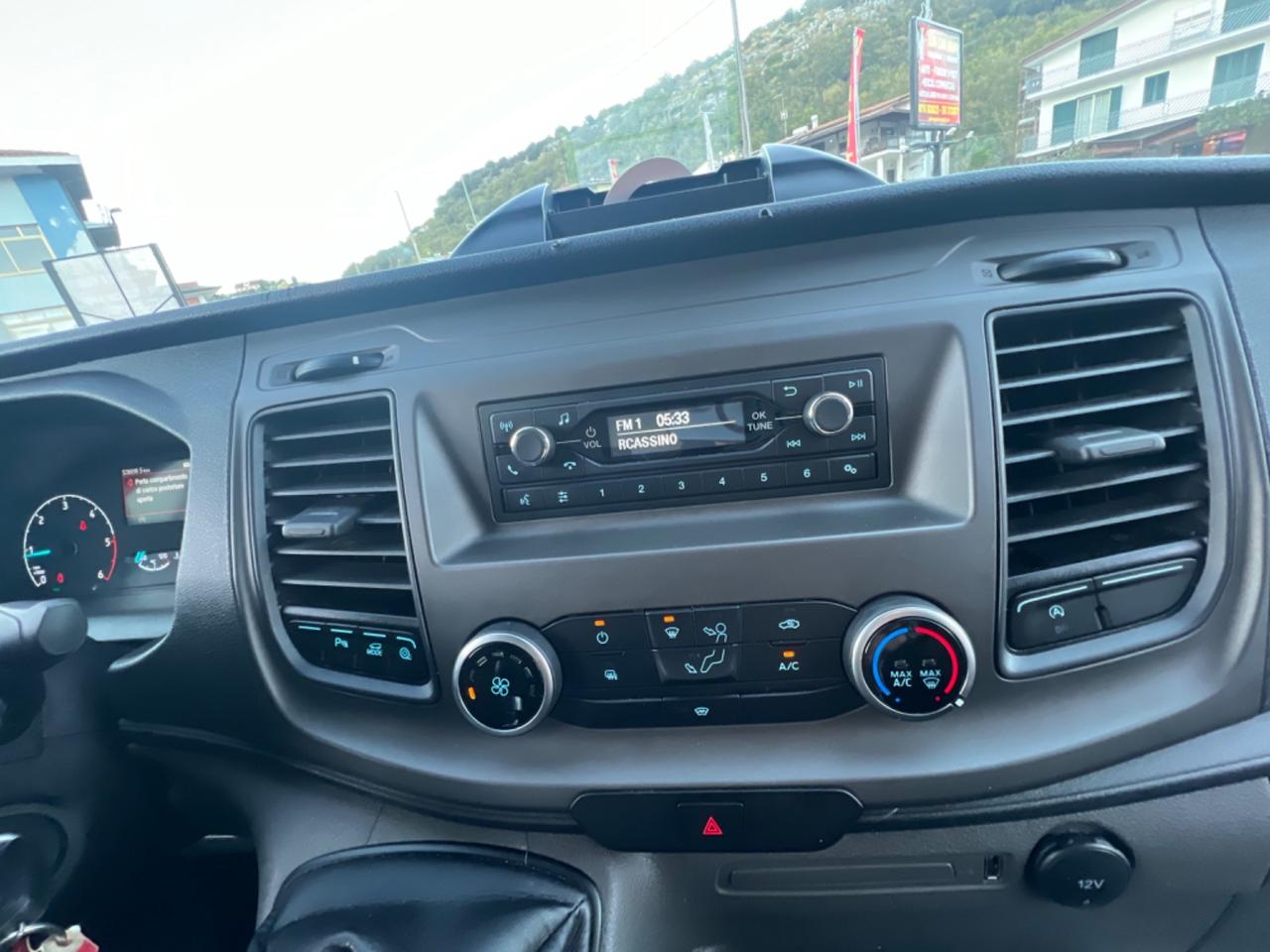 Ford Transit 290 2.0TDCi EcoBlue PM-TM Furgone