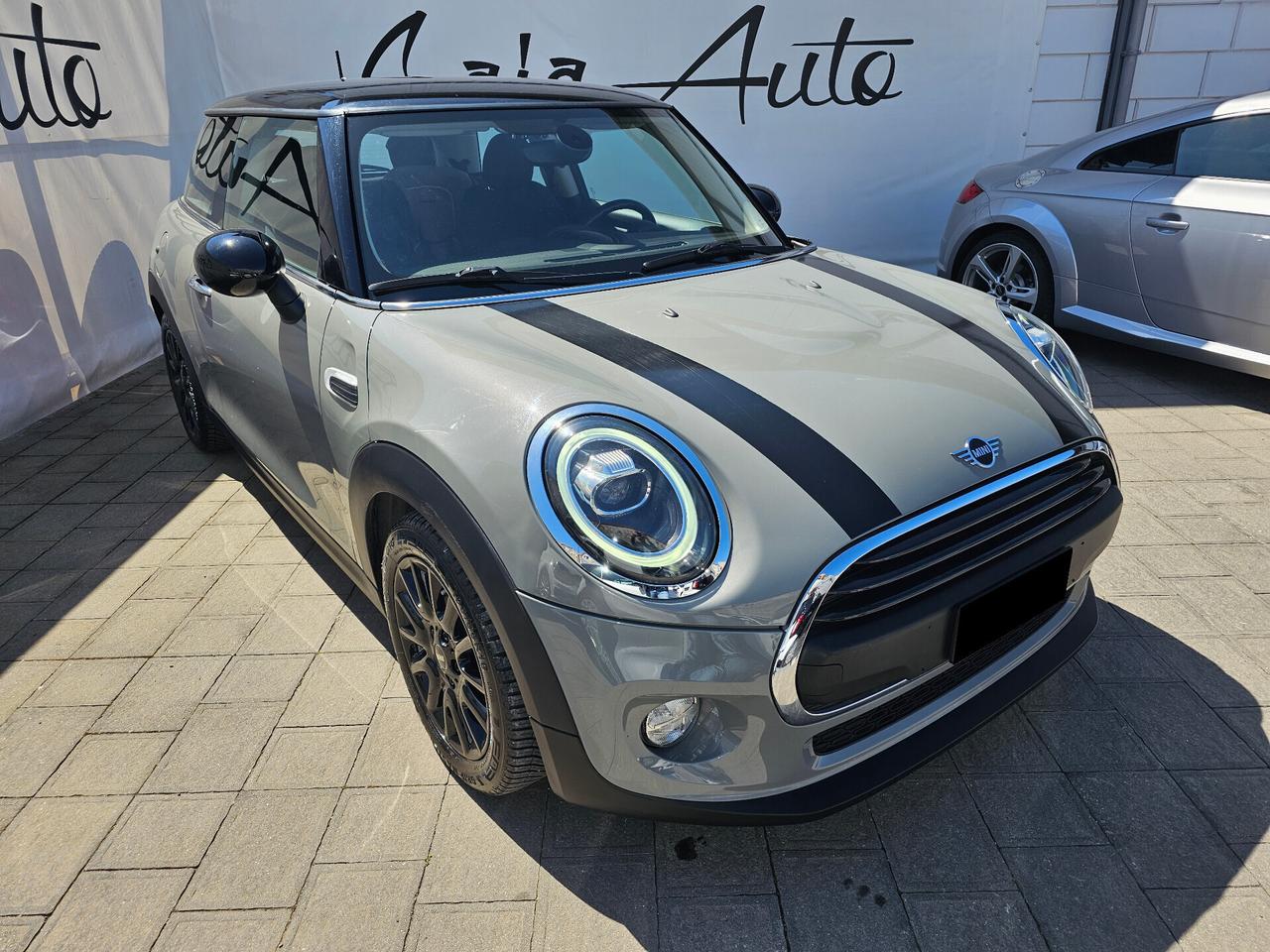 Mini Mini 1.5 One D Hype