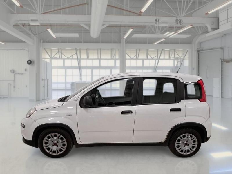 FIAT PANDA 1.0 FIREFLY 70 CV SES HYBRID 5 PORTE BERLINA