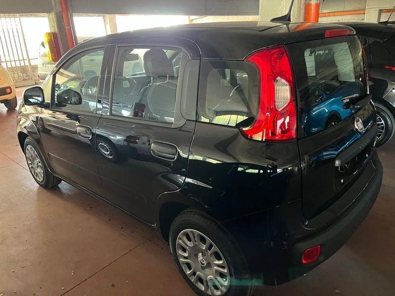 FIAT Panda Panda 1.0 FireFly S&S Hybrid Pop