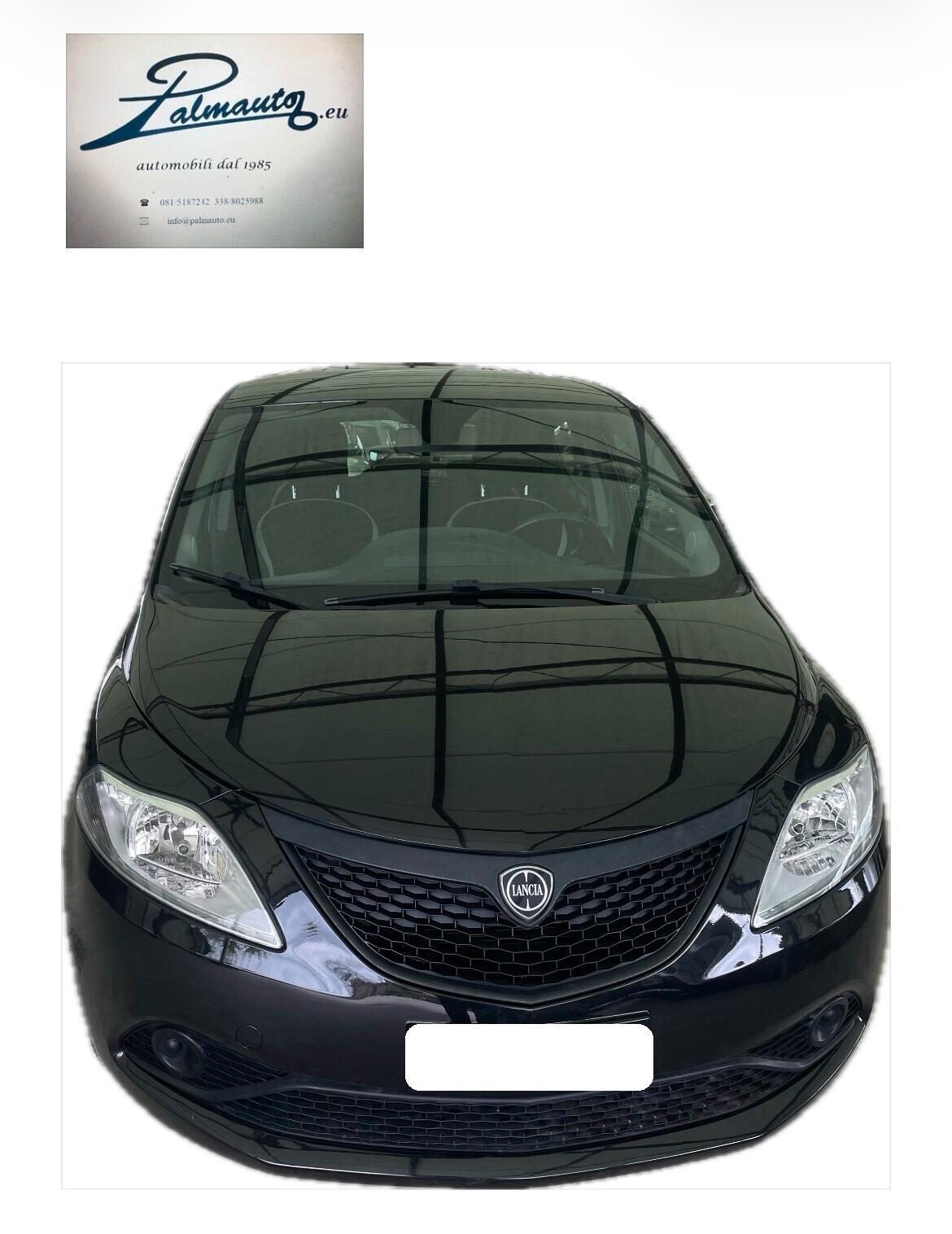 Lancia Y Ypsilon FULL OP 1.2 GPL NUOVO Platinum TAGL DISTRIB NEOPATENTATI
