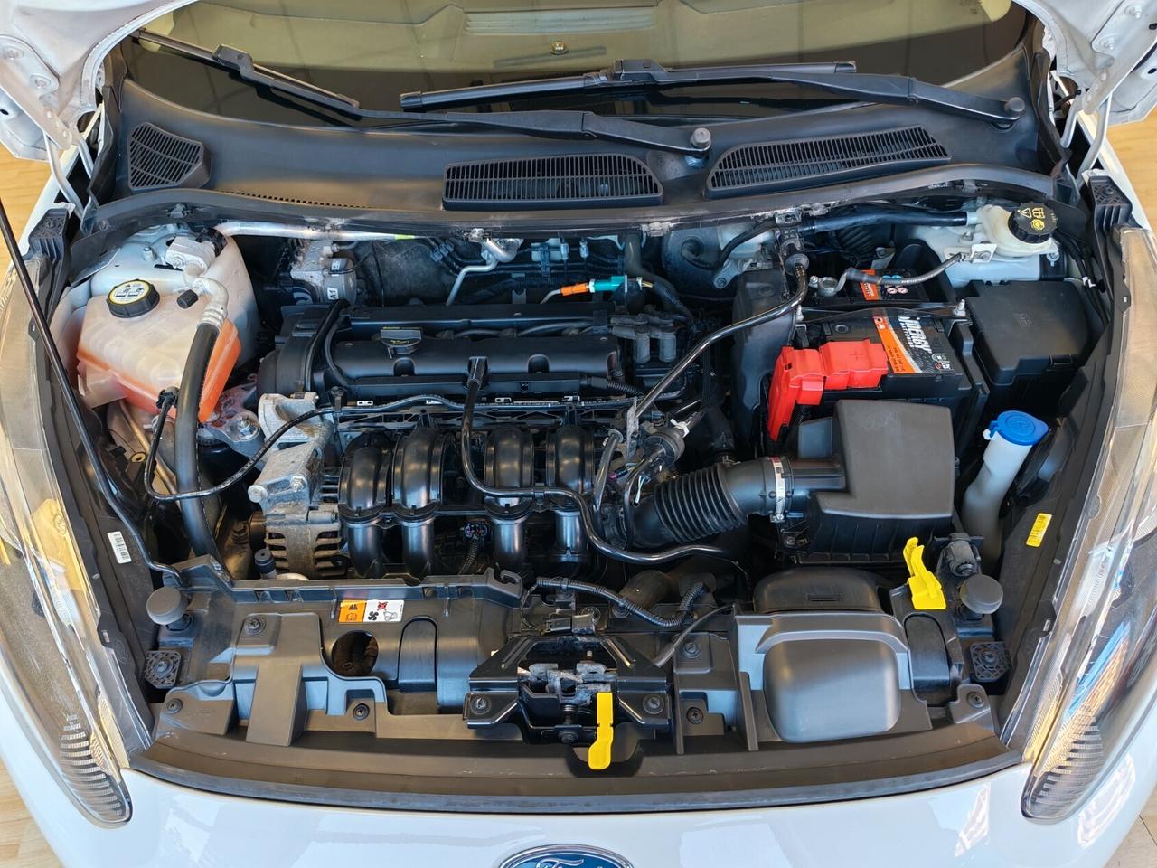 Ford Fiesta - DISTRIBUZIONE NUOVA e TAGLIANDATA - euro 6 !!!