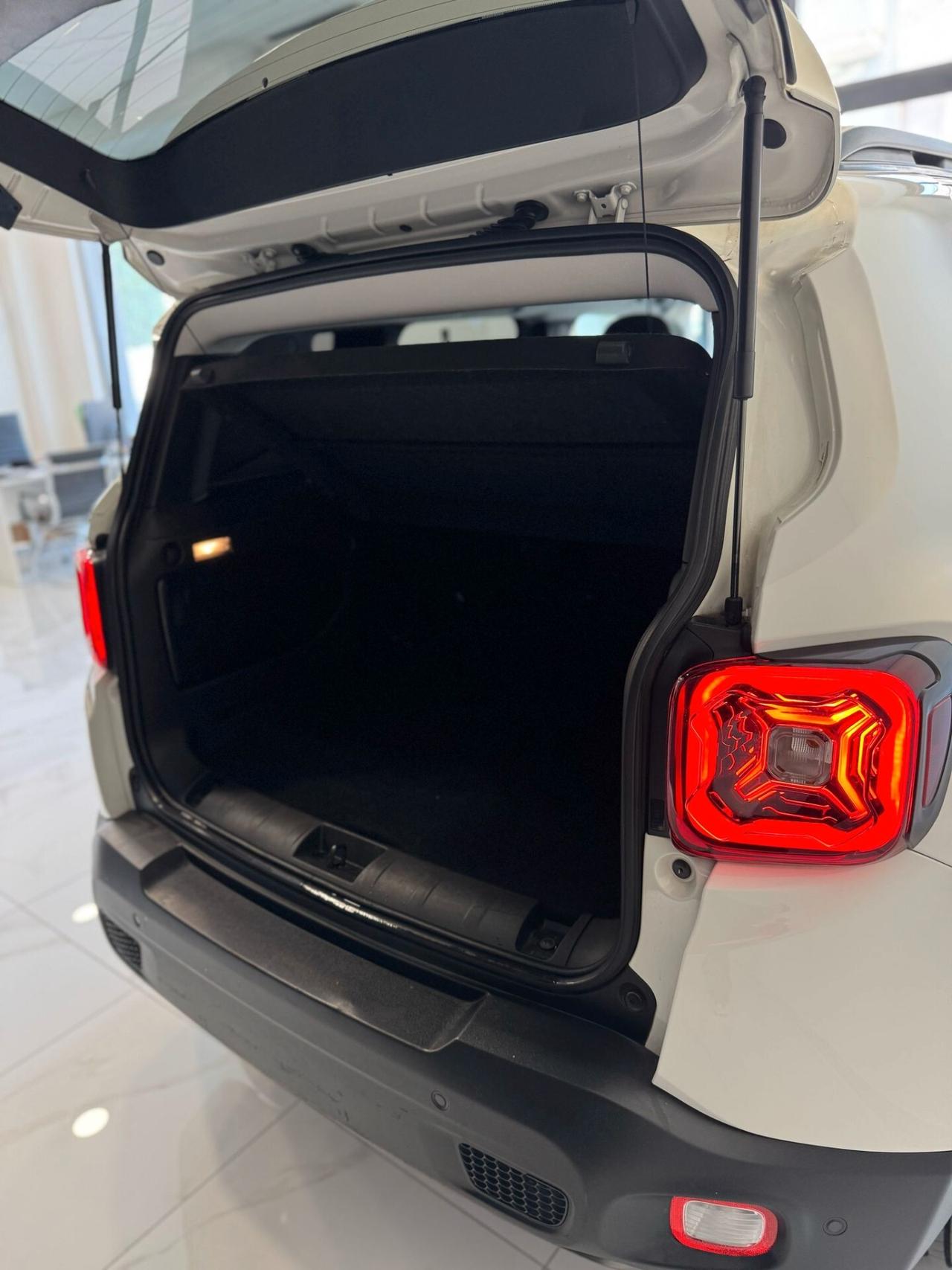 Jeep Renegade TELECAME POST-SENSORI SORPASSO